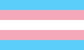 Transgender Flag Candle